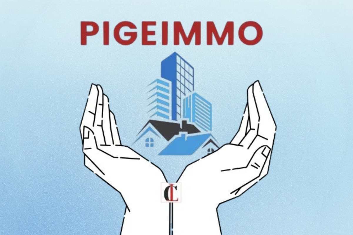 Pigeimmo